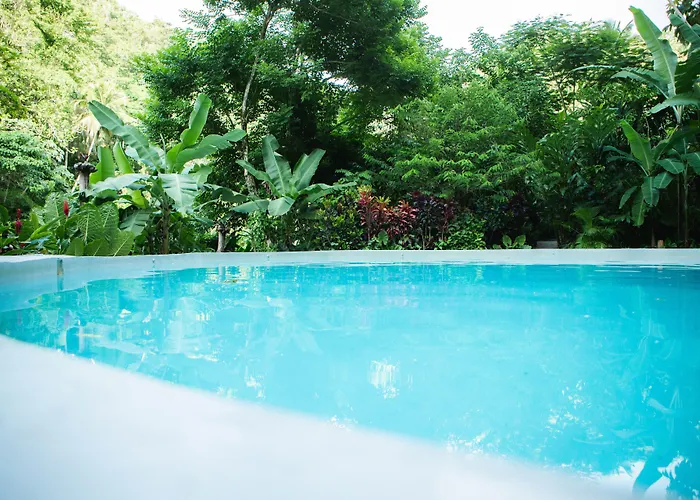 Tree House Village - Waterfall